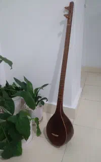 سه تار کم کار کرد وسلامت