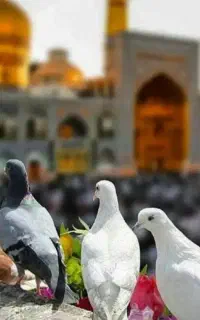 حرم  امام‌رضا ( ع)