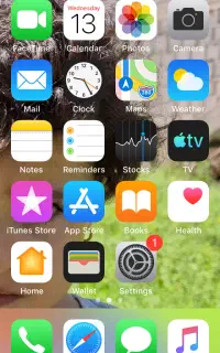 ایفون 5s