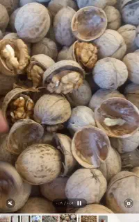 گردو خارجی کیسه ای و کارتنی به قیمت بندر در کرمان