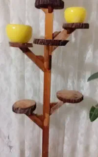 جاگلدانی سالم