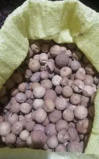 لیمو خشک (عمانی)