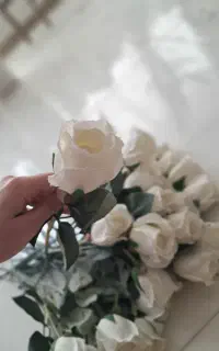۲۷ شاخه گل رز خارجی و ۲ بوته گل آویزی زیرقیمت