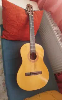 گیتار حرفه ای فندر ak50