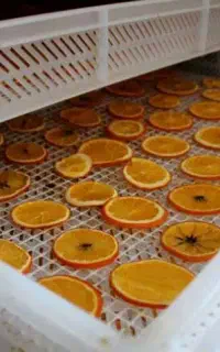 کارگر خانم جهت بسته بندی