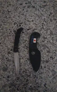 دوعدد چاقو