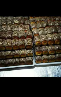 وردست خشکار