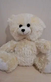 عروسک خرس نباتی