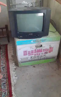 تلویزیون