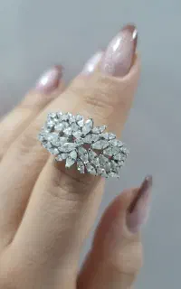 سینیخ/اَزیک/پاره نقره لری آلیریخ/تسویه لحظه ای*1