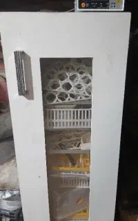 دستگاه جوجه کشی