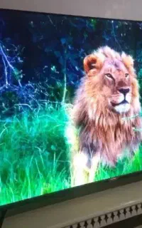 ۶۵ سام sam متصل به گوشی اندروید 4k اسمارت هوشمند