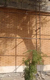 سنگ و سرامیک و آجرنما