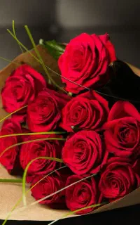 یک خط فروشی دارم  به شماره ۰۹۱۹۹۸۴۰۶۸۳