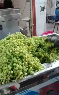 مدل دوم ماردون ۳۰۴ مخصوص غوره آبدار مرکبات