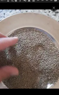 مکمل های گیاهی