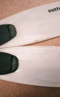 فین شنا