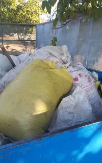 کود گوسفند