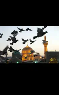 سفر به شهر نور با قیمتی منصفانه و اقساط