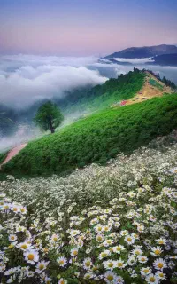 سیم کارت خط رند همراه اول ۰۹۱۱۱۰۰۳۴۳۶