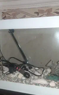 آکواریوم