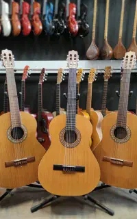 گیتار کلاسیک PARSI گالری موسیقی آرتیا