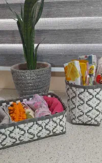 هنر دست.نظم دهنده