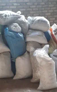 چلغوز کبوتر،زل کبوتر،کود،فضله