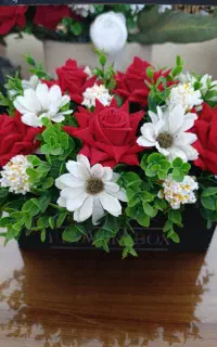 گل زیبا