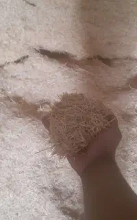 کاه و یونجه