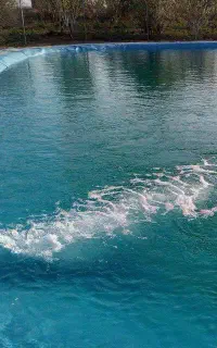 فروش ورق استخر(ژئوممبران)