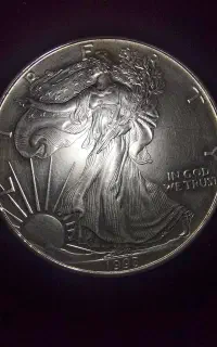 سکه نقره ۱ دلار امریکا