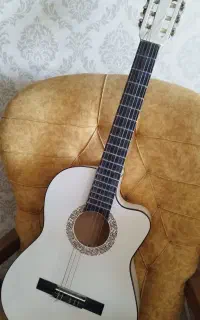گیتار خاص