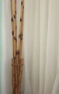 گل و گلدان