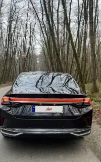 شاین مکس دانگ فانگ