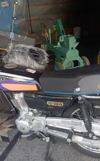 پرواز ۱۵۰ استارتی