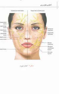 کلاس آموزش دستیار پزشک