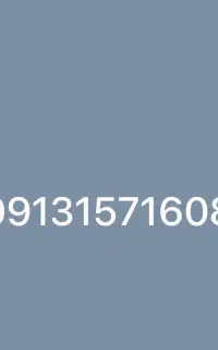 09131571608