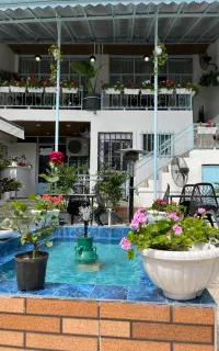 کافه توکای لاهیجان