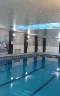 آموزش شنا برای خانم ها و کودکان