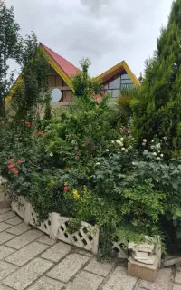 اجاره روزانه ویلای استخر دارابسرد