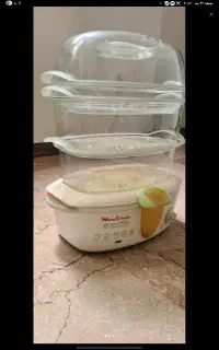 بخار پز مولینکس