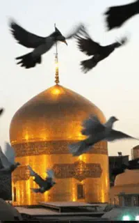 ۳ بلیط برگشت از مشهد به اهواز، قطار