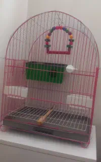 مرغ عشق با قفس