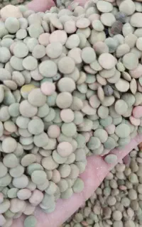 عدس و نخود امسال سرحد