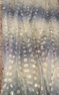 پرده