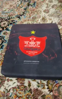 کیف PS4