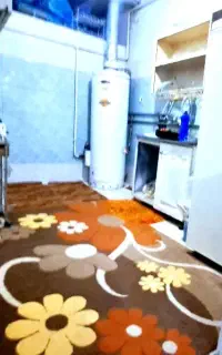 اجازه  روزانه وهفته