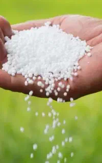 کود سفید شیمیایی
