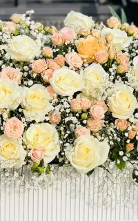 عکاسی در فضای باز